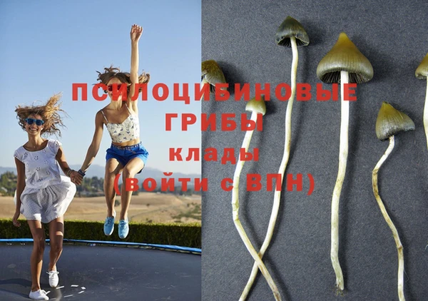 каннабис Армянск